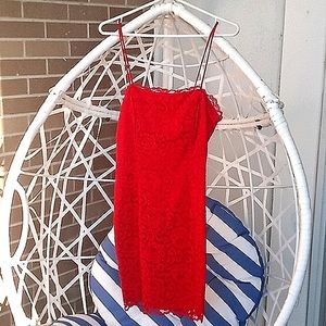 Newleaf red lace spaghetti strap cocktail dress